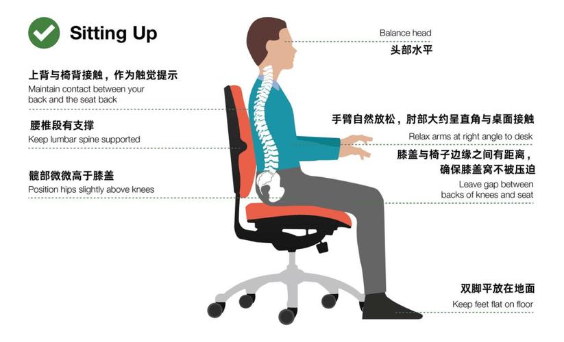 办公场景正确坐姿腰背支撑示意图