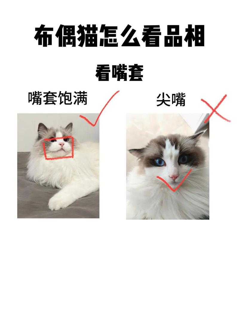 规格里的猫腻，厚度全靠一张嘴