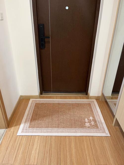 嵌入式入户门垫施工完成实景图