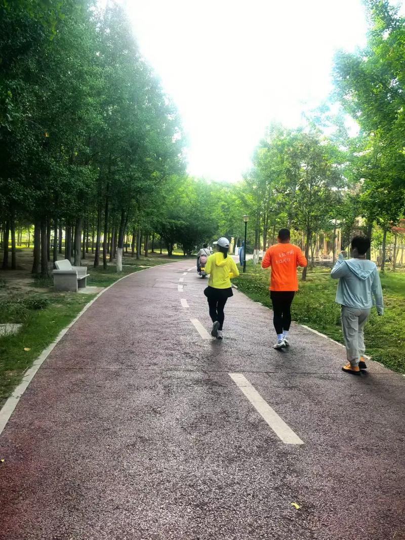 周末上午公园里慢跑的人们的背影