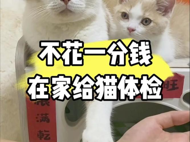 自己在家就能做的两个检查,不用花一分钱