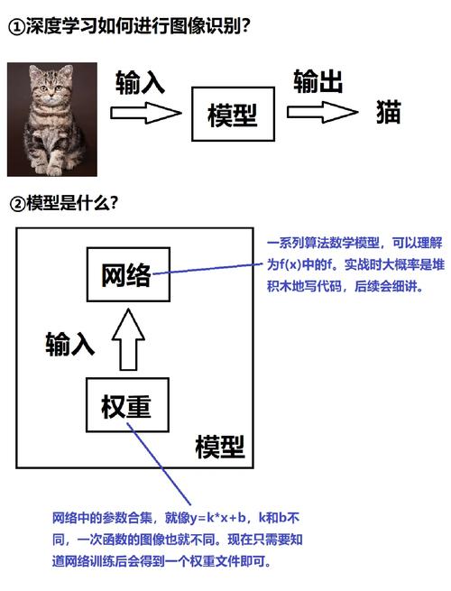 深度学习识别猫图层级特征示意图