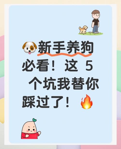 这些坑,我替你踩过了