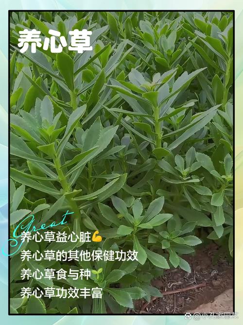 🌿 环保、验收与小户型心机