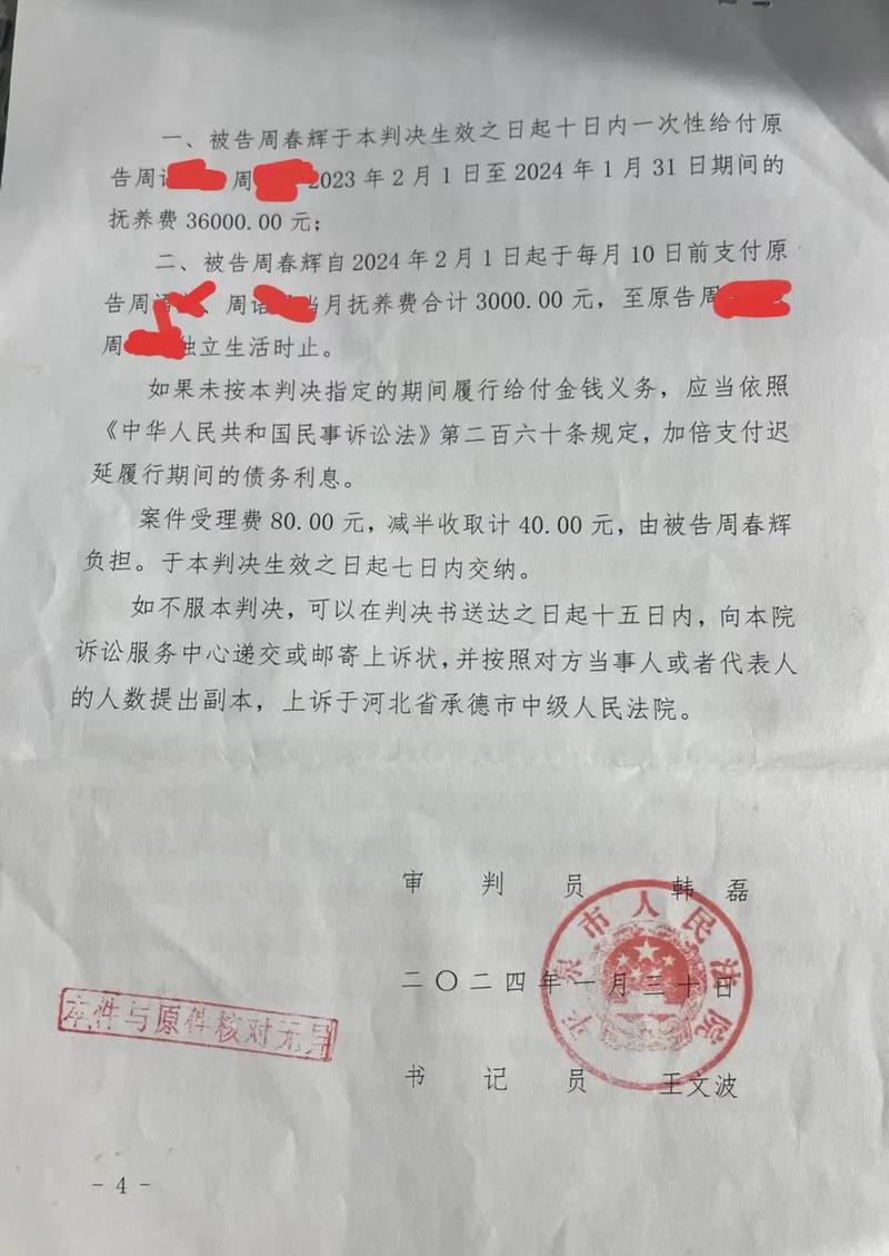 离婚抚养费纠纷法院判决书场景