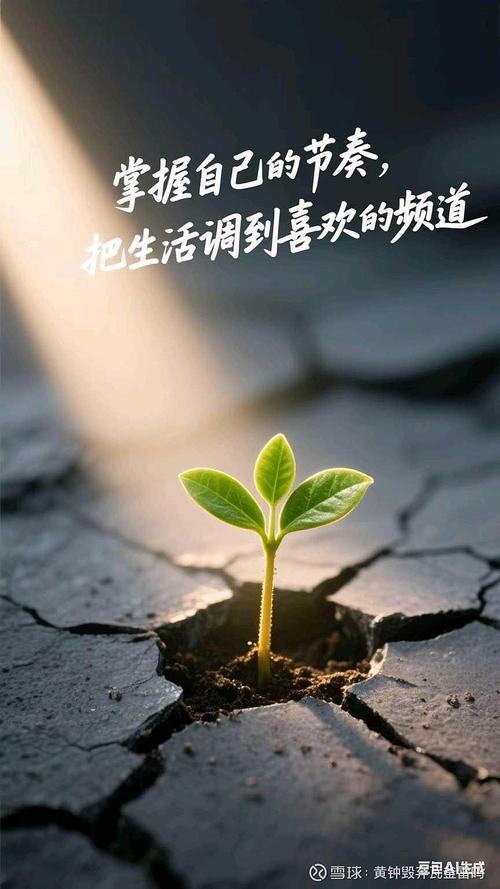 别捧也别踩,静候技术慢慢发芽