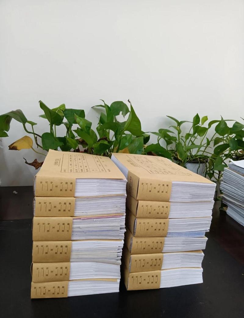 行政诉讼被告举证材料装订成册场景