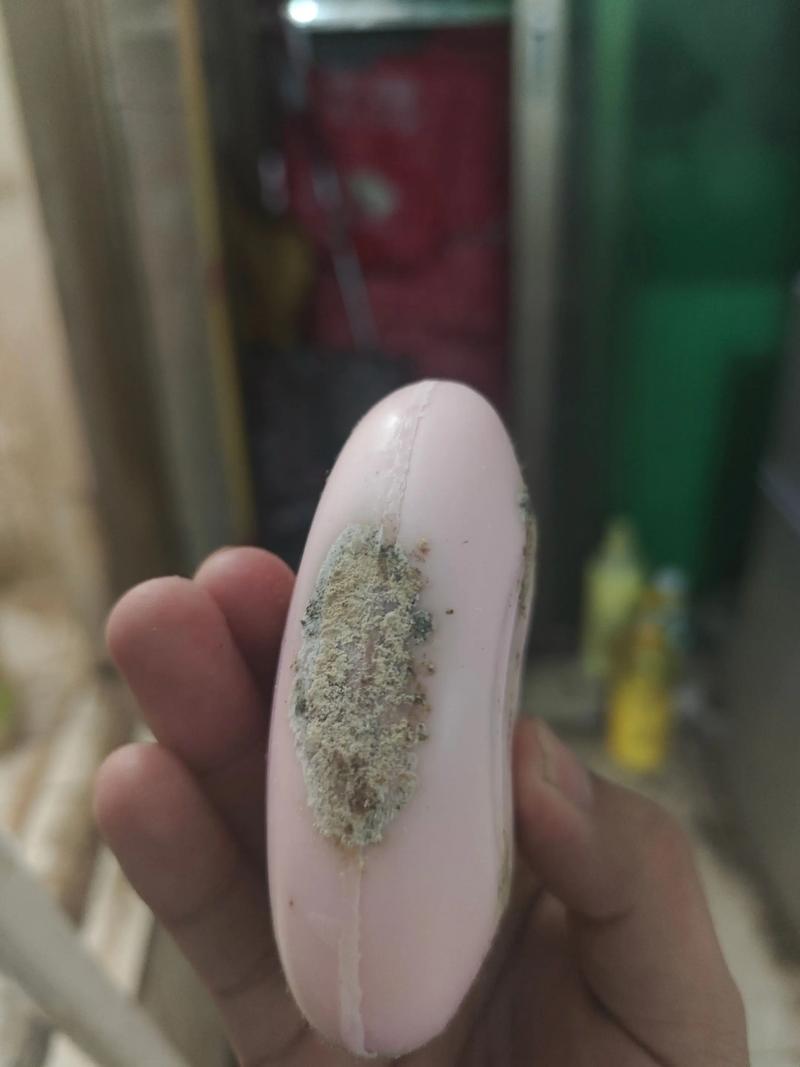 发霉了，还有救吗？