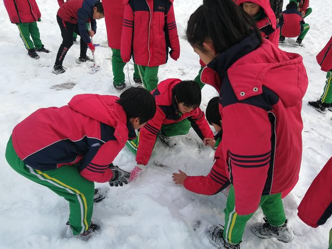 小学生户外测量积雪厚度实践活动照