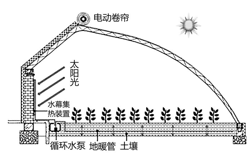 大棚蔬菜遮阳网光合作用原理示意图