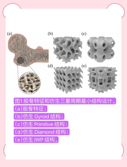 增材制造仿生鲍鱼壳叠层结构失效截面图