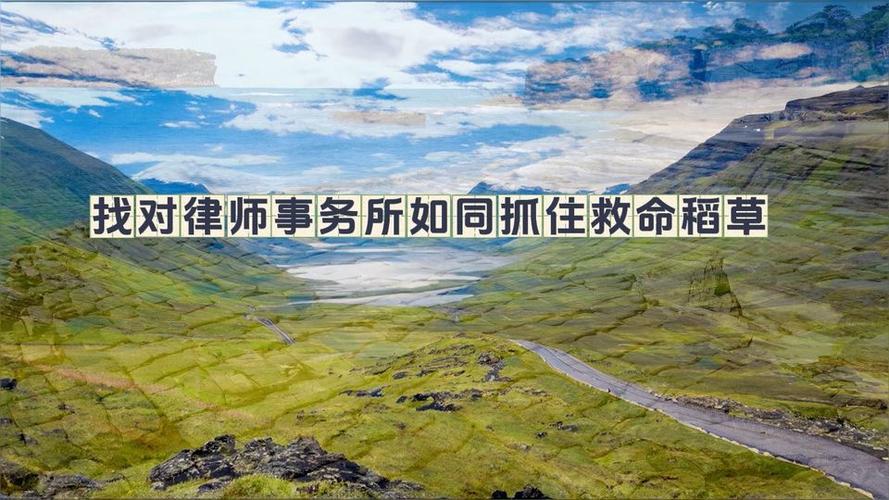 夹缝中的“救命稻草”:公益组织、高校诊所和律师个人