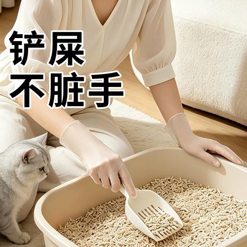 铲屎官戴一次性手套观察狗狗腹泻便便性状的近距离特写