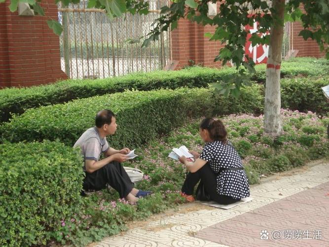 考生高考进考场前树荫休息照片