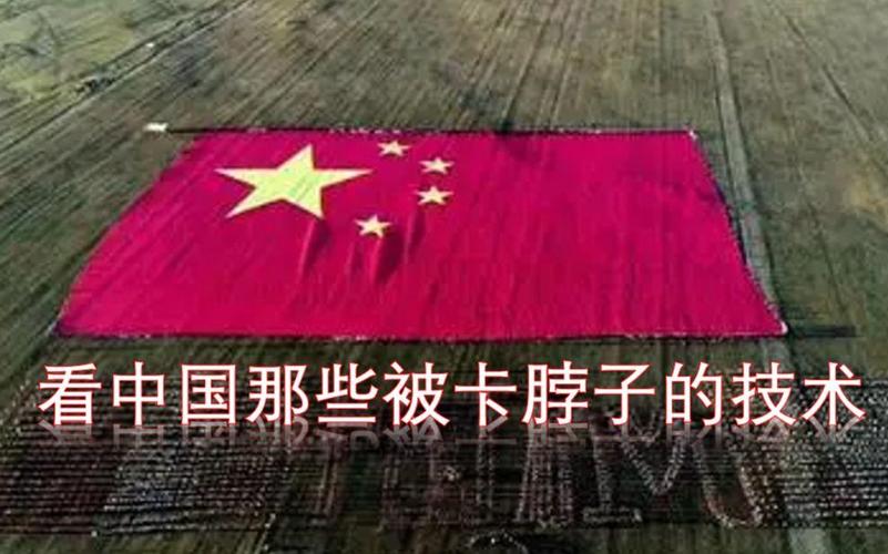 那些被简化成“卡脖子”的细节，到底难在哪