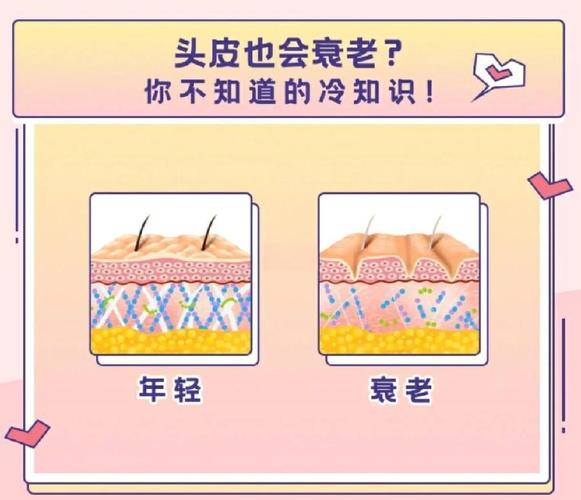 头皮基础养护：别把你的头皮当头发的背景板-仁者医