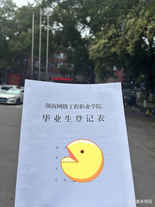 高校毕业生灵活就业登记表填写样本