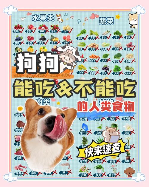 宠物喂养禁食人类食物清单图表