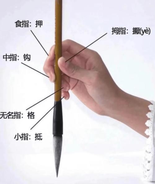 书法练习五指执笔法虚而宽示意图