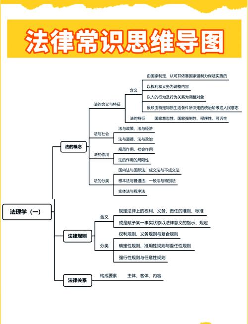 自愿原则法律定义思维导图