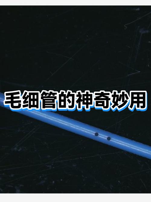 毛细作用，才是背后的魔法