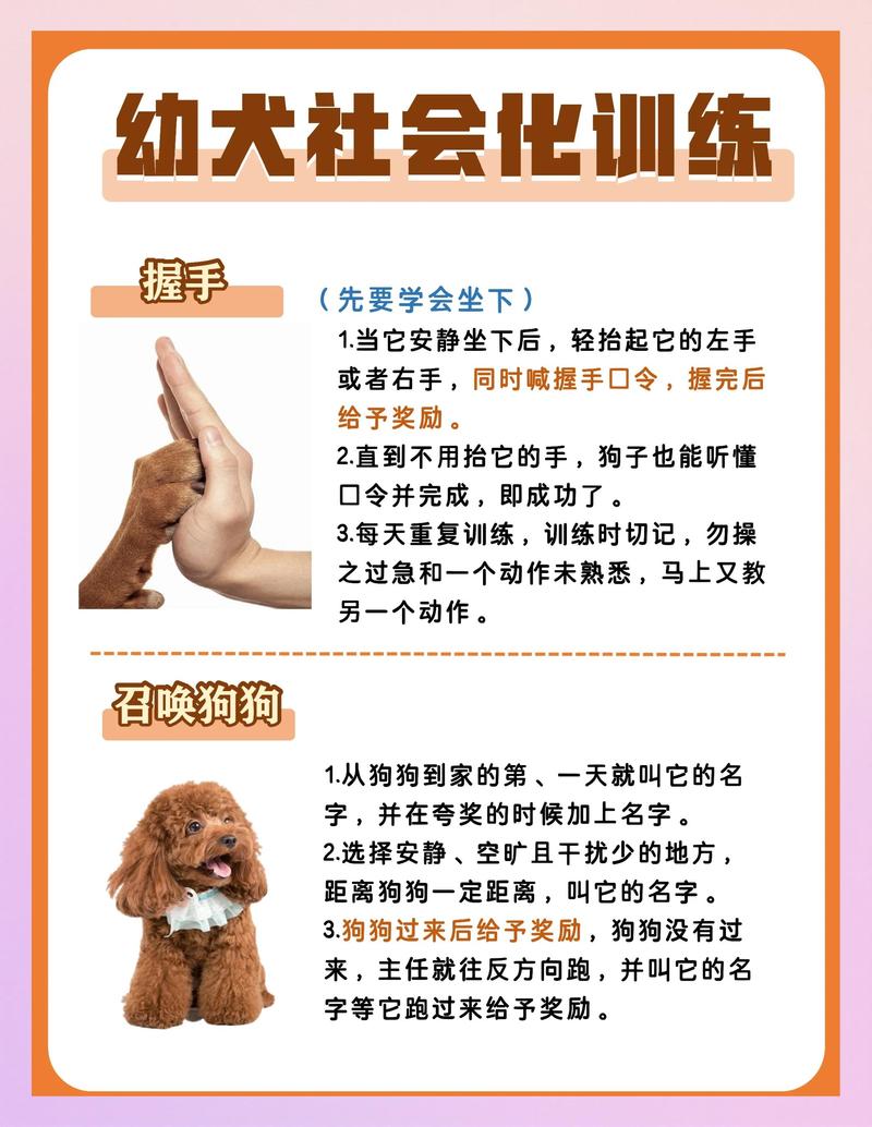 亲测有用的3个训练小技巧