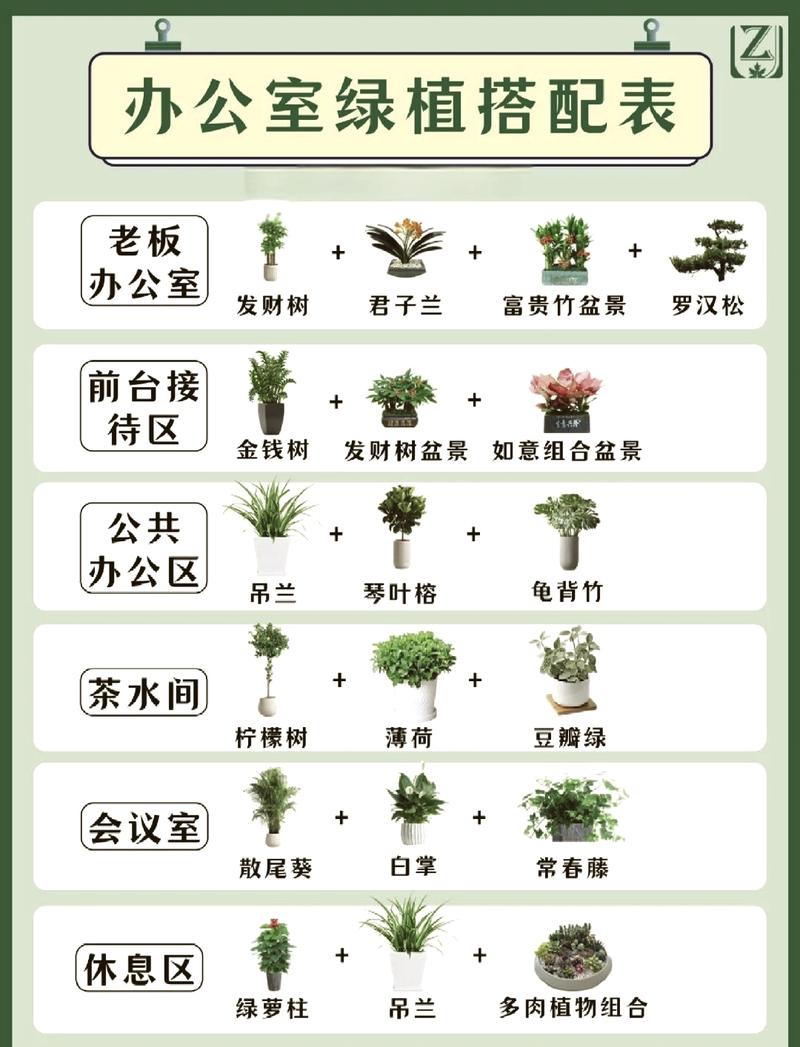 绿植摆放的成本与选品问题