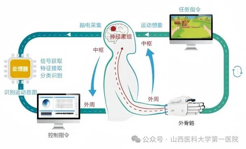 2024年这些科研成果简直离谱!有的能救你命,有的让人细思极恐