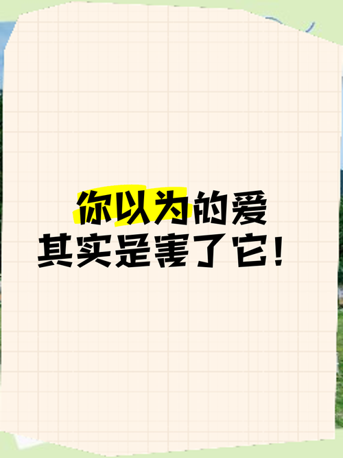 你以为的爱，其实是害
