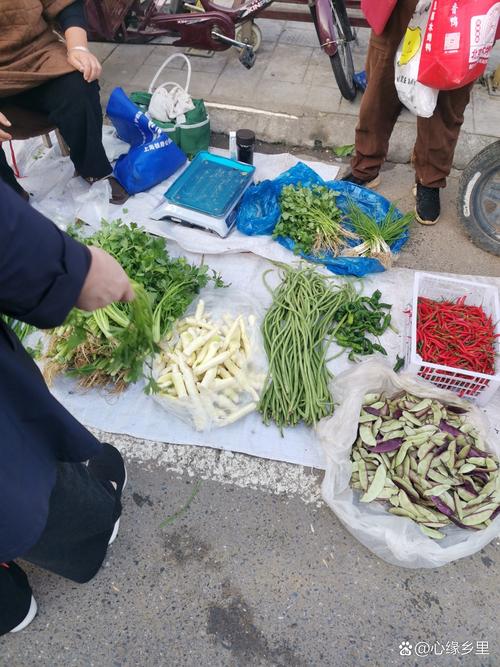 南京社区菜场酱菜摊位实拍