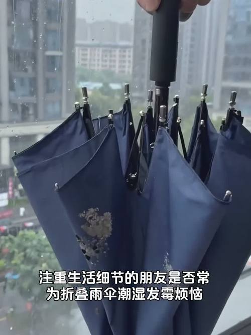 湿雨伞密闭收纳发霉伞面