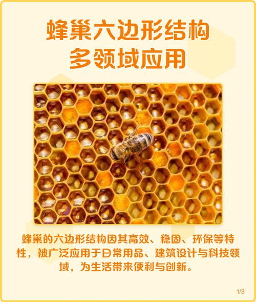 蜂巢六边形结构在工业设计中的应用对比图