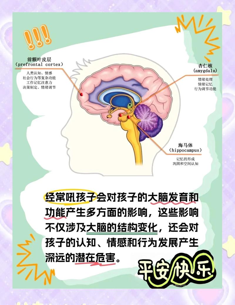 大脑里的漏洞：为什么我们会不知不觉被影响