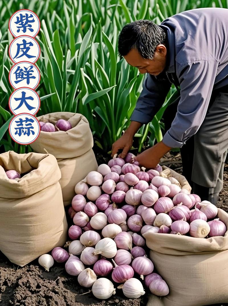 蒜,凭什么让人上瘾又避之不及?-因为所以