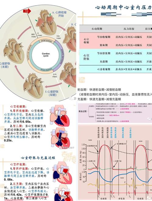 昼夜温差利用：白天热晚上凉，身体悄悄变好的秘密-仁者医