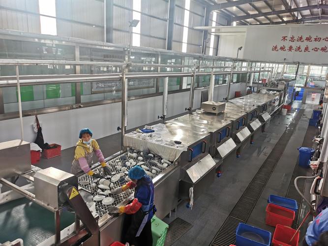 食品自动化流水线输送带清洗测试现场