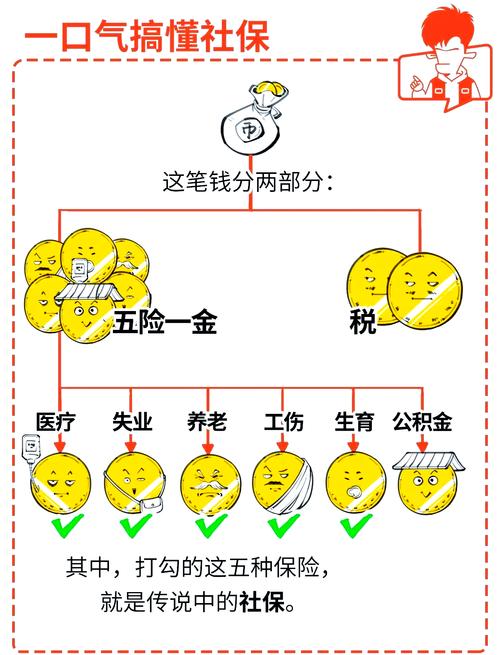 老年保障类型整理手绘图
