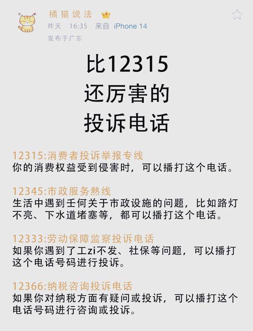 打12359怎么说才能一次受理？话术我给你写好了