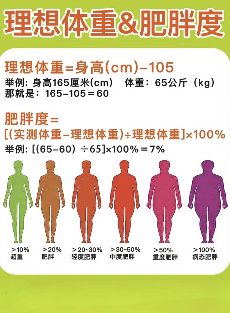 肥胖人群快速减重与慢速减重身体变化对比图