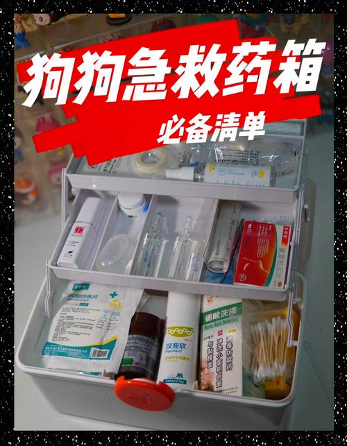 家用小型宠物急救箱物品整理实拍