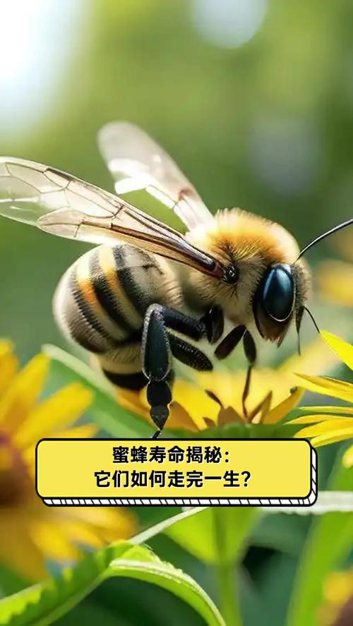 看着没坏的密封,可能早就寿命到了