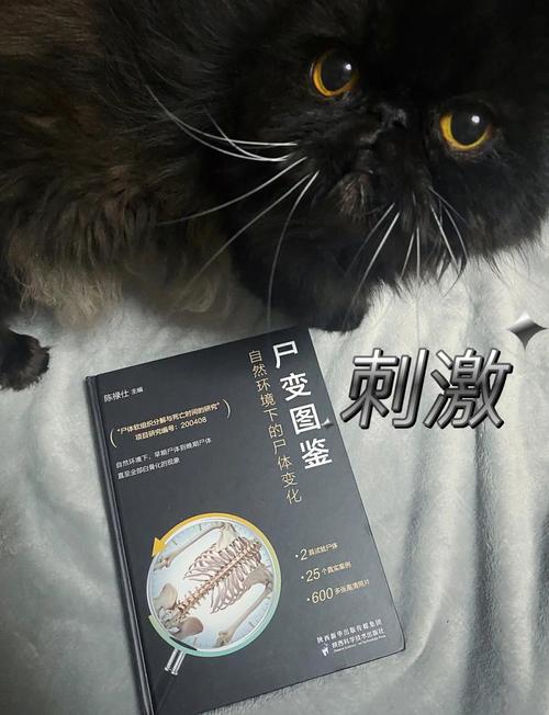 我买过一本恶心到家的科普绘本
