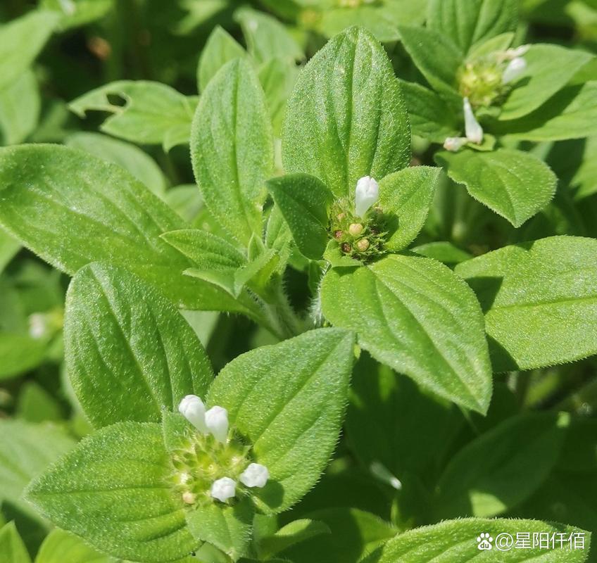 🔹 避雷与补救:钱不能白花