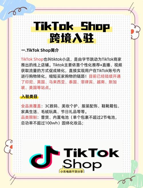 跨境电商独立站品牌标签TikTok内容示例图