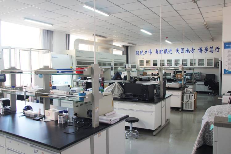 国内高校生物医药专业本科生实验室实拍