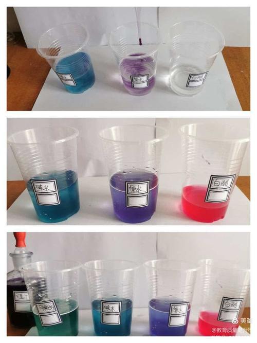 儿童紫甘蓝酸碱指示剂变色实验成品图