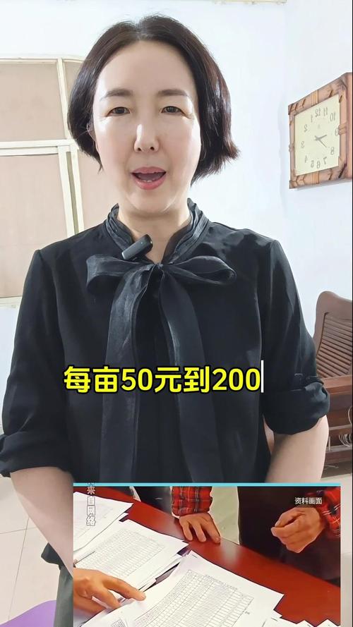 补一嘴:2024年后的一些变化