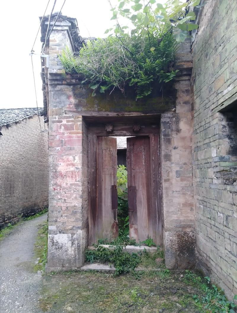 旧院墙里,藏着百年过往