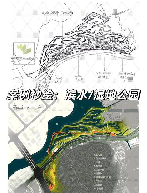 红树林海岸生态服务价值示意图