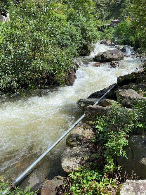 南方茶山山涧引水渠实拍